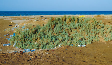 Plastic garbage on the shores of the Red Sea in the area of Hurghada, Egyptの写真素材