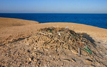 A large nest built from debris and branches on the shore of an island in the Red Seaの写真素材