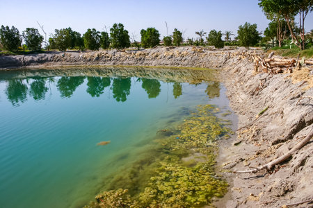 Green filamentous algae in the salt water of a coastal lake on the shores of the Red Sea, Hurghadaの写真素材