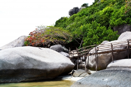 Private Area on the Koh Nangyuanの写真素材