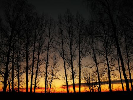 sunriseの写真素材