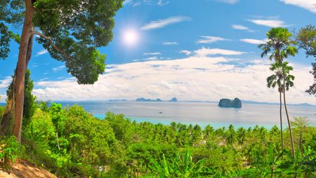 tropical landscapeの写真素材