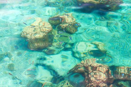 Crystal clear tropical seaの写真素材