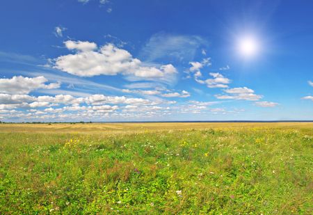 field under blue cloudy sky whit sunの写真素材