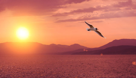 sunset, sea and mountainの写真素材