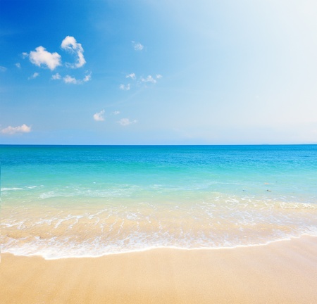beach and tropical seaの写真素材