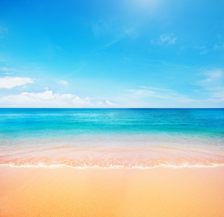 beach and tropical seaの写真素材