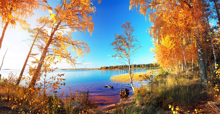 Autumnal Park. Autumn Trees and lakeの写真素材