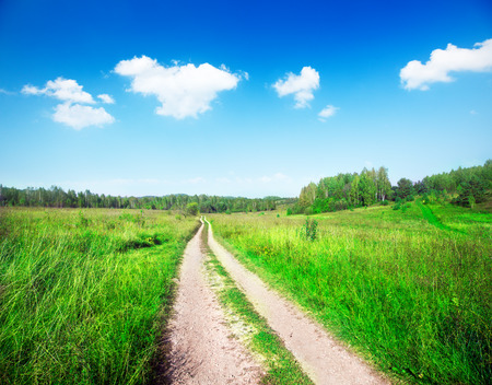 beautiful summer landscapeの写真素材
