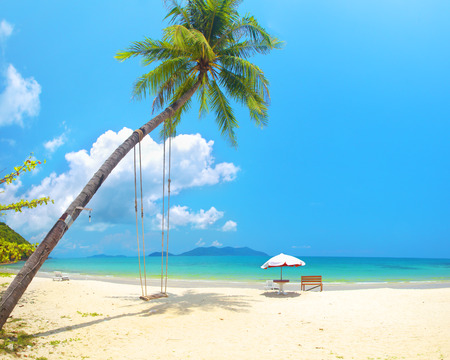 beautiful beach with coconut palmの写真素材