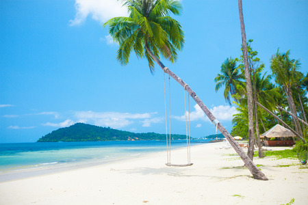beach with coconut palm and seaの写真素材