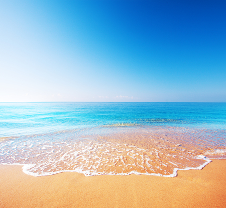 beach and tropical sea