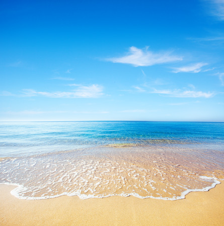 beach and tropical seaの写真素材