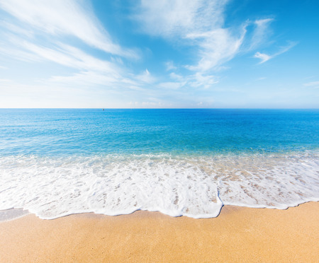 beach and tropical seaの写真素材