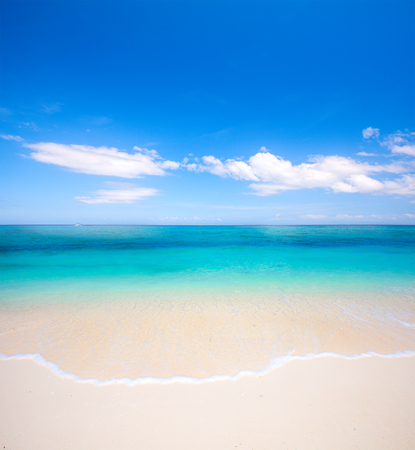 beach and tropical seaの写真素材