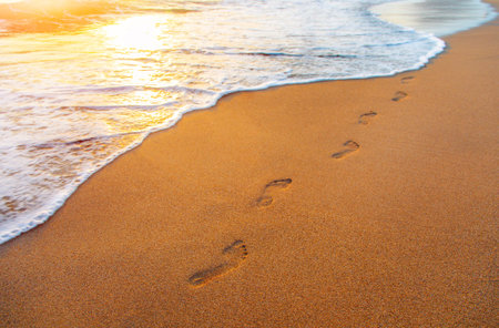 beach, wave and footsteps at sunset time