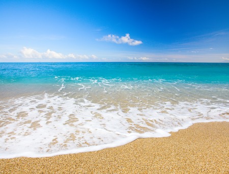beach and beautiful tropical seaの写真素材