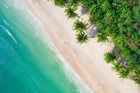 Aerial view beach with coconat palm trees and beautiful blue seaの写真素材