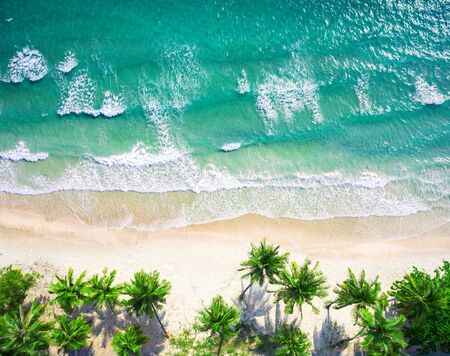 Aerial view beach with coconat palm trees and beautiful blue seaの写真素材