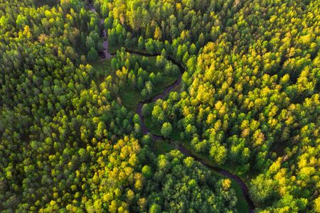 Little River In Forest At Sunset Time. Aerial view.の写真素材