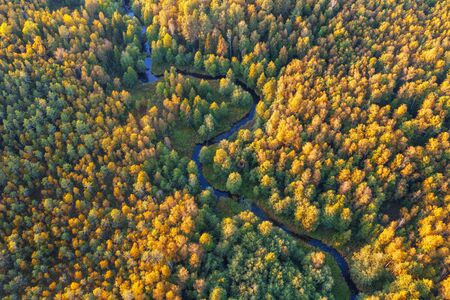 Aerial view of river and autumn forestの写真素材