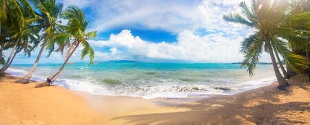 panoramic tropical beach with coconut palmの写真素材