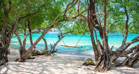 Freedom beach, koh Tao, Thailandの写真素材