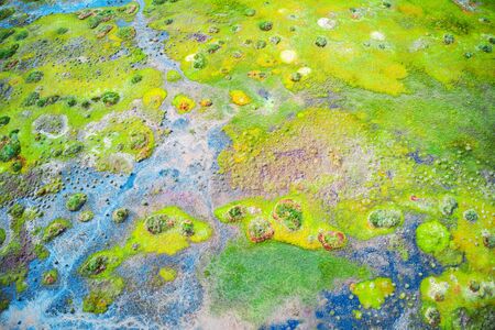 beautiful autumn swamp aerial viewの写真素材