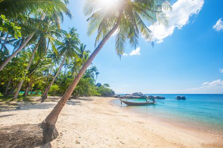 Tropical beach with coconut palm and longtail boatの写真素材