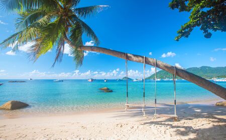  beach with coconut palm trees and swing, koh Tao. Thailandの写真素材