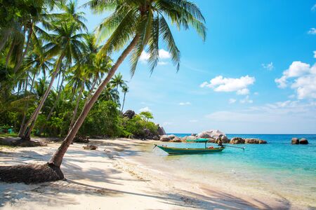 Tropical beach with coconut palm and longtail boatの写真素材