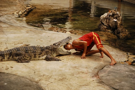 The Crocodylidae or crocodile show in Thailand on 9 May 2009.のeditorial素材