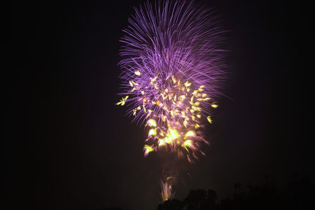 Colorful fireworks on the black sky background