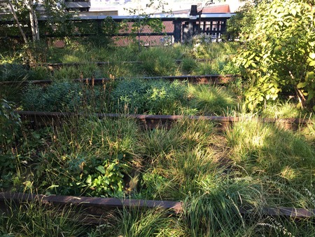 Old train tracks High Line New Yorkの写真素材