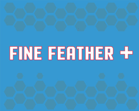 word fine featherのイラスト素材