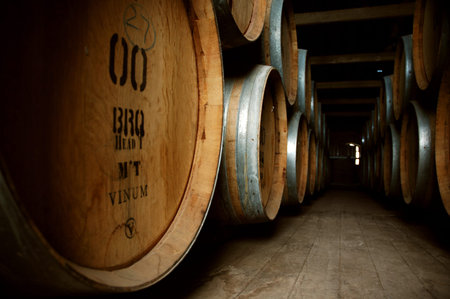 Wine Barrels in Cellar