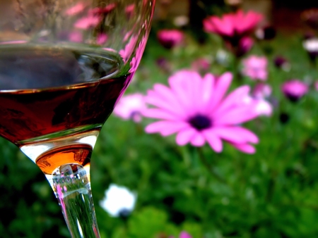 Glass of Red Wine Garden Flower Theme in Spring Time featuring daisyの写真素材