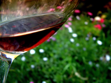Glass of Red Wine Garden Flower Theme in Spring Timeの写真素材