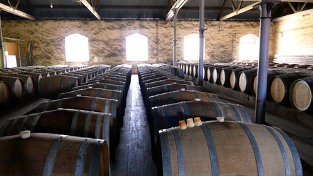 Photo of historical wine barrels in winery storage area featuring rows of oak barrels after vintage and harvest. の写真素材