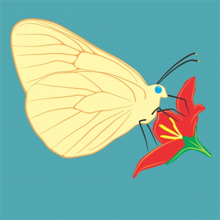 An a vector illustration of butterfly on a flower    Files included  Illustrator 8 EPS  and JPGのイラスト素材