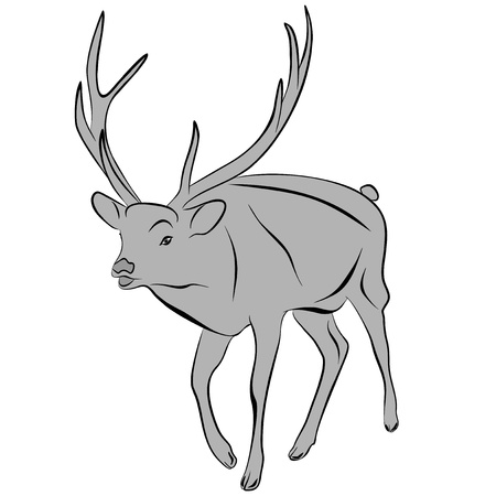 An a vector illustration of Deer   Files included  Illustrator 8 EPS  and JPGのイラスト素材