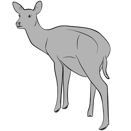 An a vector illustration of Deer   Files included  Illustrator 8 EPS  and JPGのイラスト素材