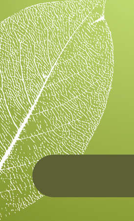 green realistic leaves with text box backgroundの写真素材