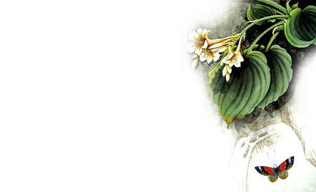 chinese water painting flower backgroundの写真素材