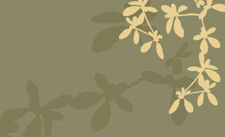 vintage flower backgroundの写真素材