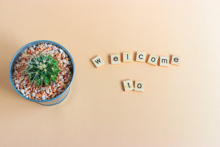 set of cover or background chapter for presentation decorate of letter and cactus in pot and space for your topic or logoの写真素材