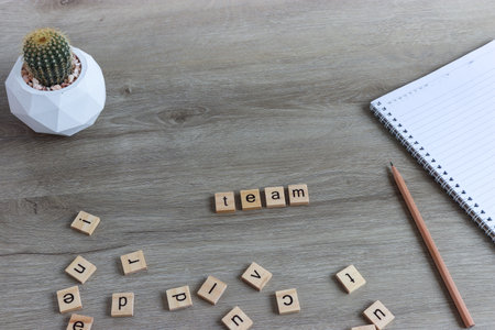 set of various cactus plants in pots. Cactus plant in different pot and view on  table during gardening nursery cactus with space for you brand orの写真素材