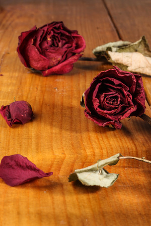 dried roses isolated on wooden backgroundの写真素材