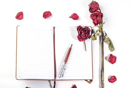 dried roses with book and pen on white backgroundの写真素材