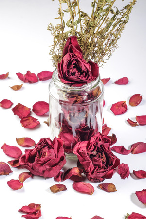 red dried roses in and out of glass vase  isolated on white backgroundの写真素材